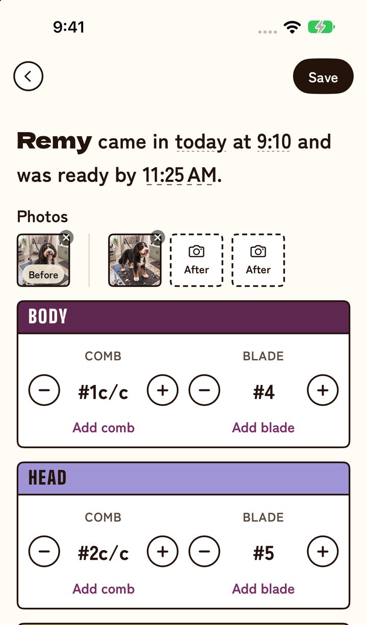 Remy’s groom in the Plum theme: “Remy came in today at 9:10 and was ready by 11:25 AM.”, Before and After photos, and comb and blade steppers